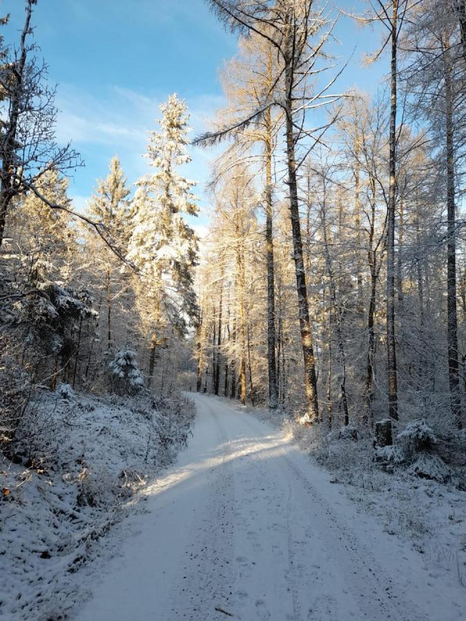 Fraenkische Linie - Radspitz-Ferienwohnungen Marktrodach Eksteriør bilde